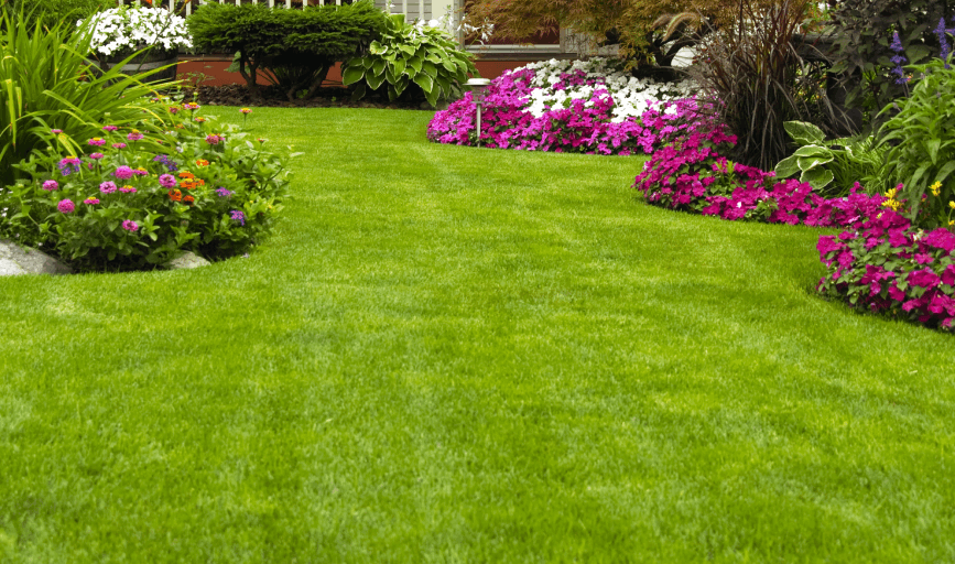Landscaping Services
